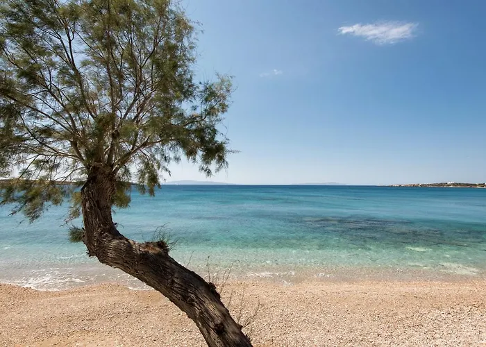 アパート Tarsa *